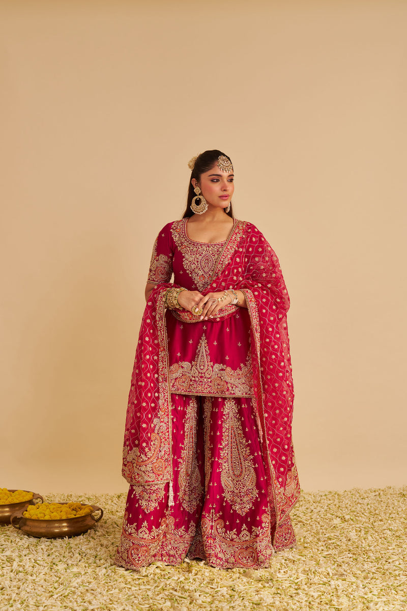 Alina - Dabka Zardozi Embroidered Silk Rani Hotpink Sharara Set