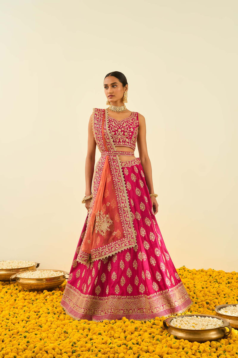 Masiah Rani Hotpink Kashmiri tilla lehenga with blouse and dupatta