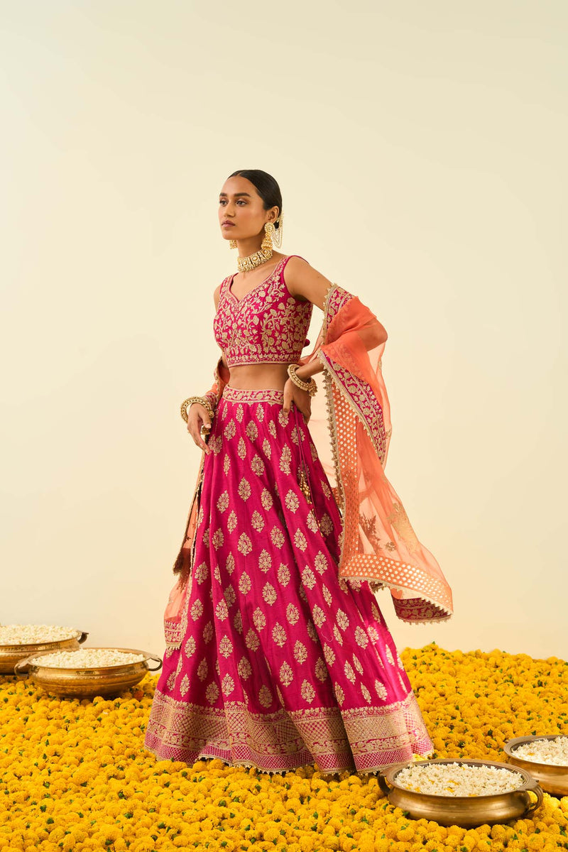 Masiah Rani Hotpink Kashmiri tilla lehenga with blouse and dupatta