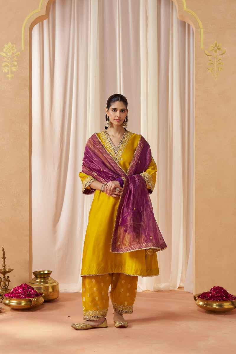 Liana Mustard Chauga with Salwar