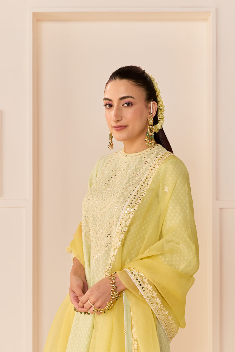 Nida - Mint Green Short Choga With Farshi Salwar