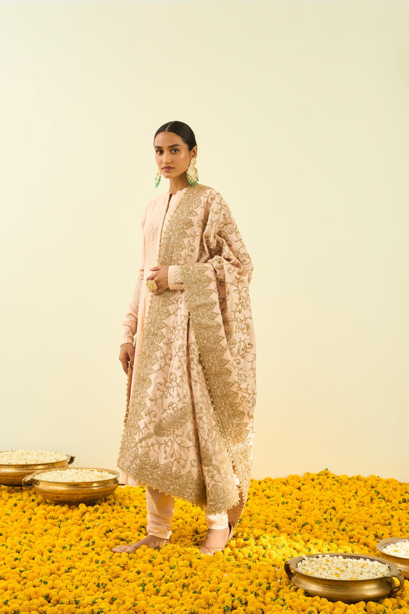 Rosepink Paisley Tilla Embroidery Odhni