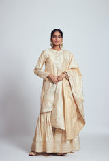 Saima- Soft beige Chanderi silk embroidered ensemble