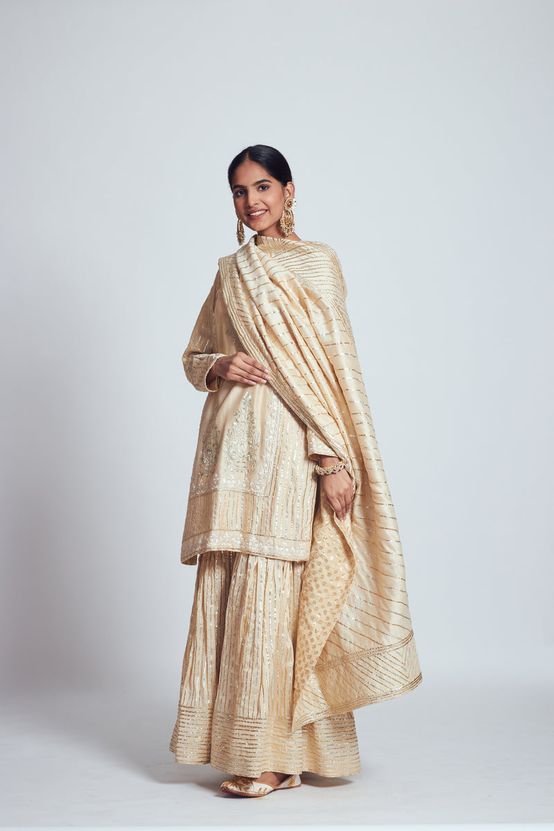 Saima- Soft beige Chanderi silk embroidered ensemble