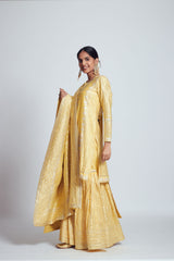 Sehar- Happy yellow chanderi silk embroidered ensemble